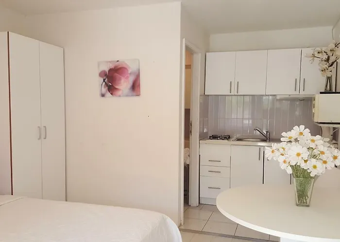 公寓 Tanja & Josipa *